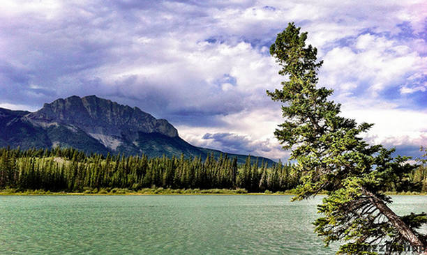 Camping Image 1