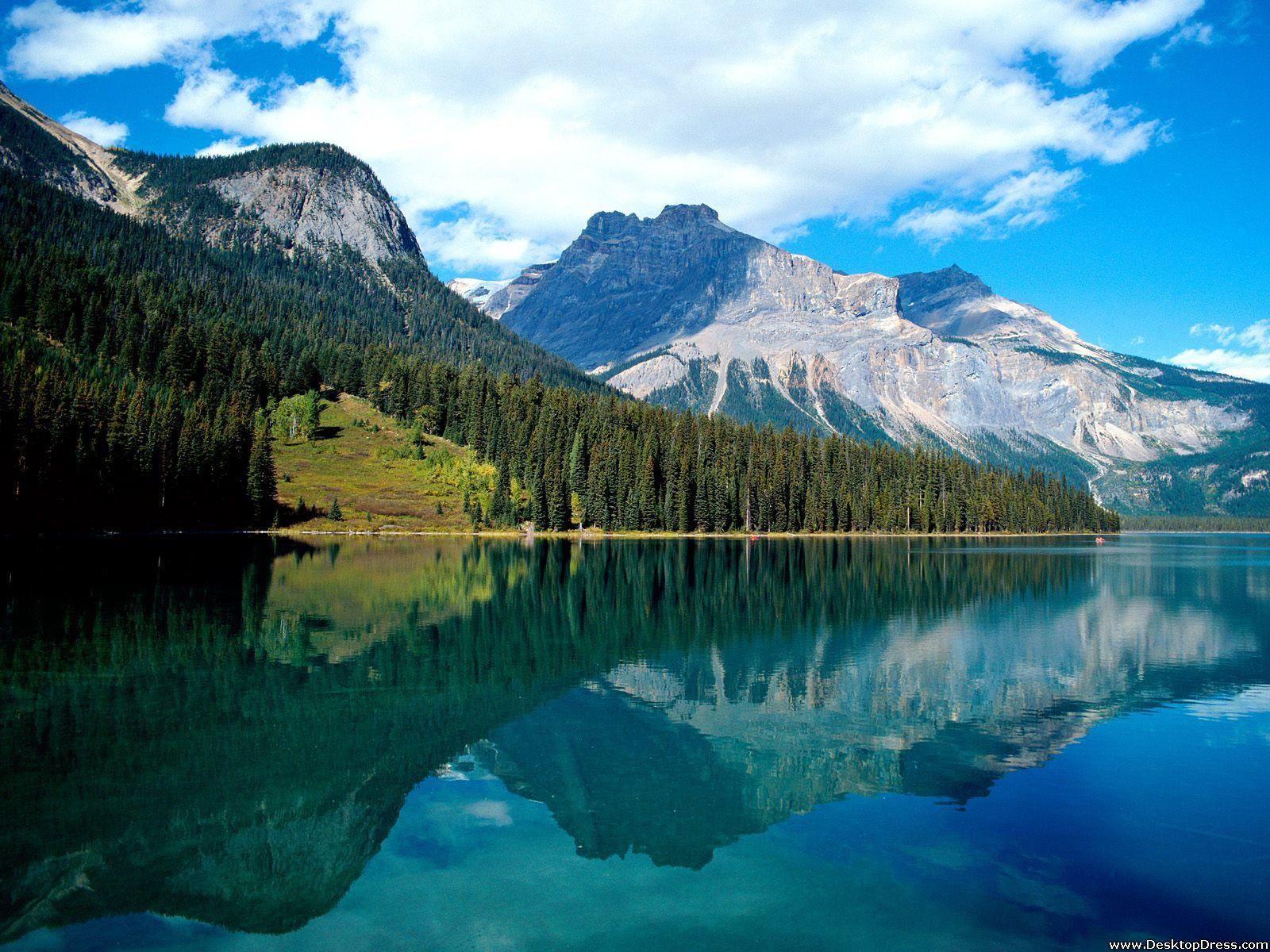 Camping Image 1