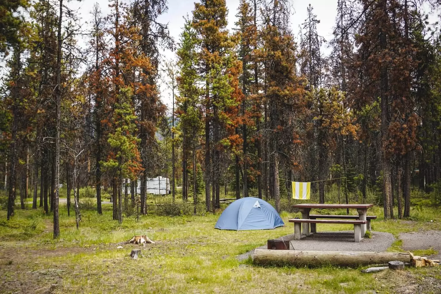 Camping Image 1